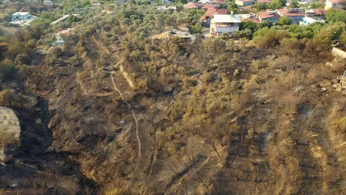 Hatay'daki Orman Yangını Havadan Görüntülendi