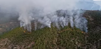 Hatay'da Orman Yangınına Havadan ve Karadan Müdahale