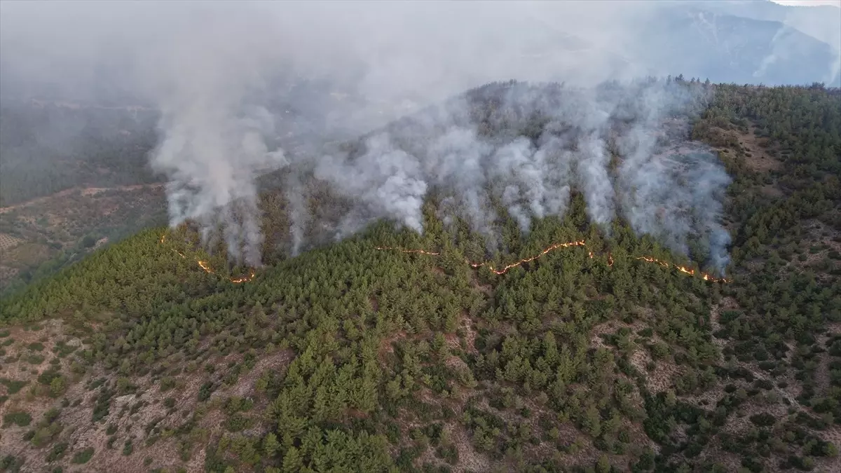 Hatay'da Orman Yangınına Havadan ve Karadan Müdahale