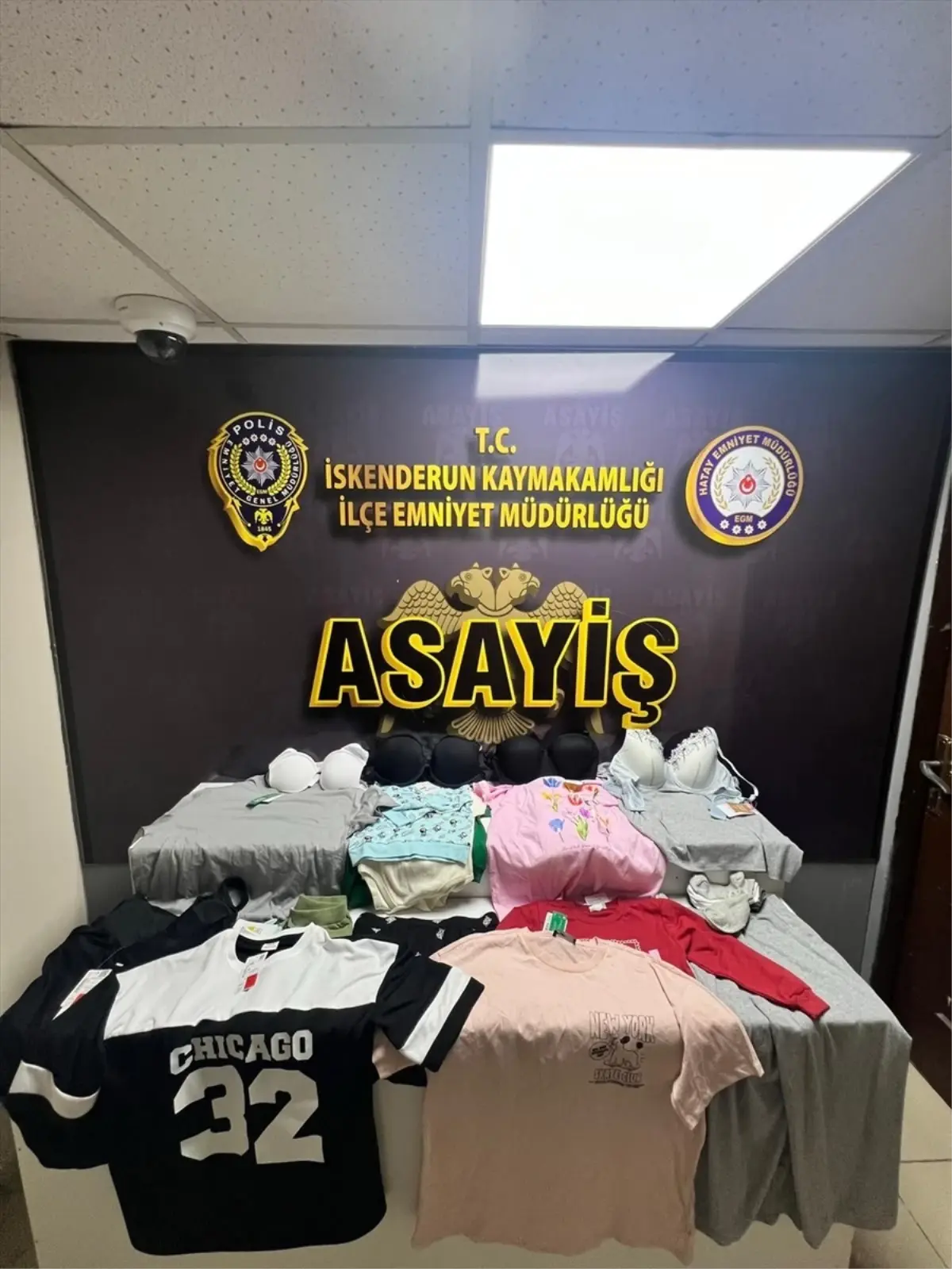 İskenderun'da Hırsızlık Zanlısı Tutuklandı