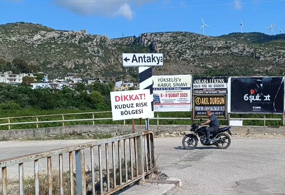 Hatay'da Kuduz Tehdidi: 4 Mahallede Karantina ve Köpek Toplama Çalışmaları Başlatıldı