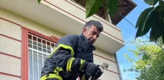 Hatay'da Mahsur Kalan Kediler ve Köpek İtfaiye Ekiplerince Kurtarıldı