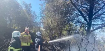 Hatay'da Ormanlık Alanda Yangın Çıktı