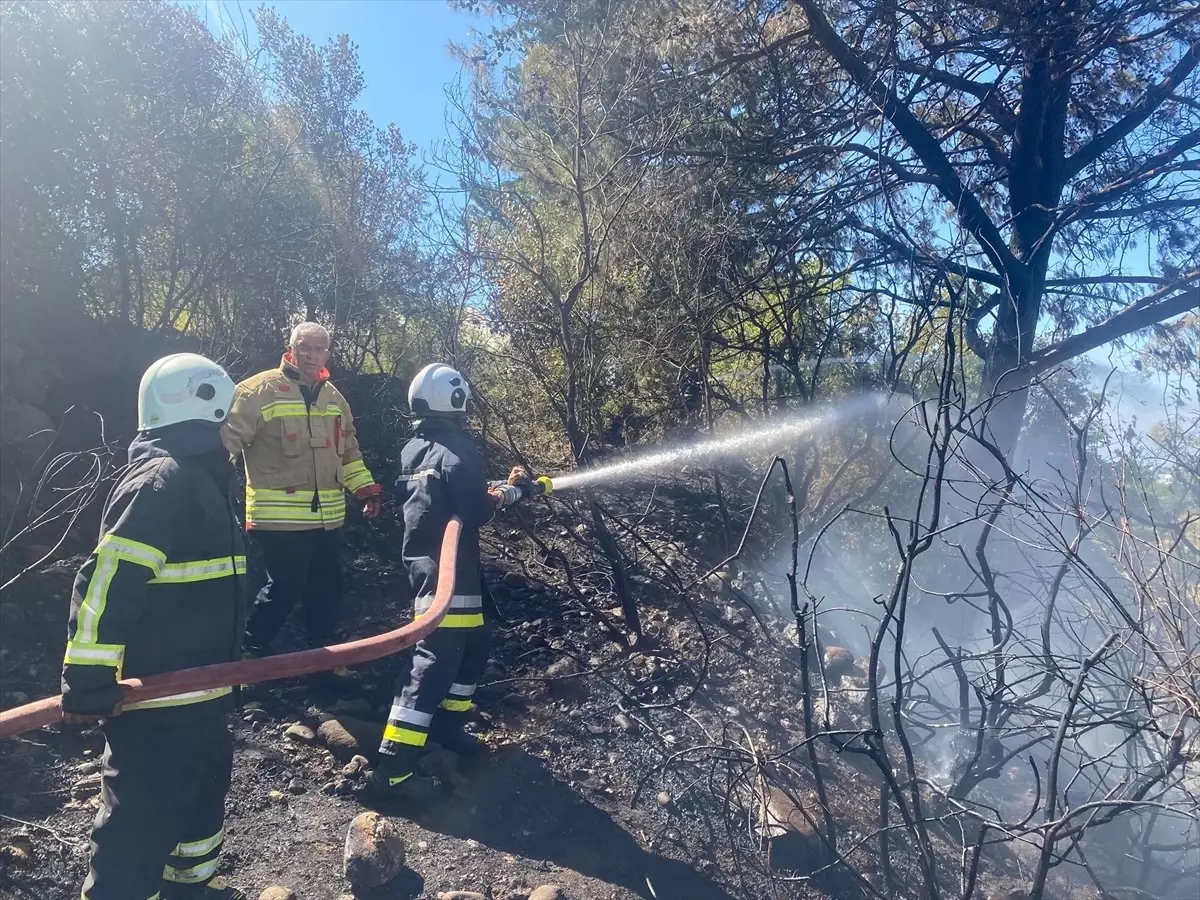 Hatay'da Ormanlık Alanda Yangın Çıktı