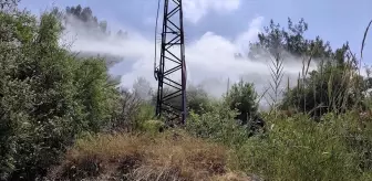 İskenderun'da Orman Yangını Kontrol Altına Alındı