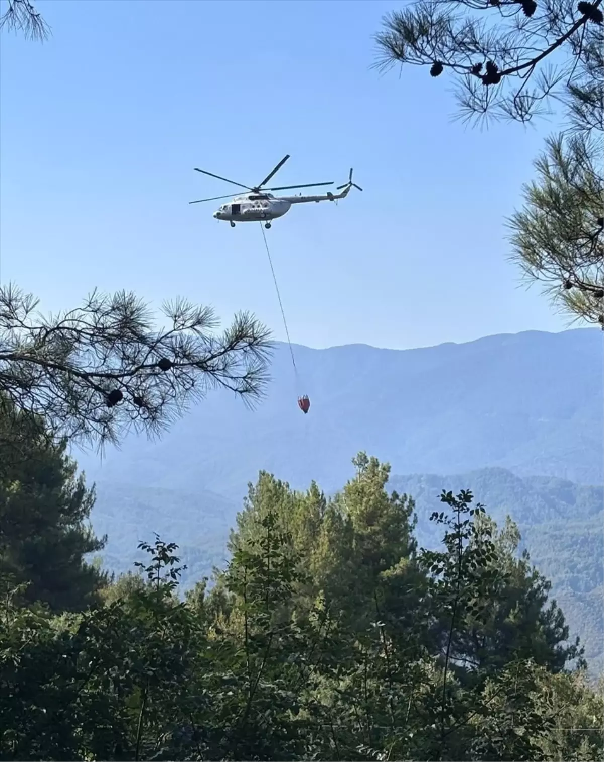 Hatay'da Orman Yangını Kontrol Altına Alındı