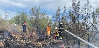 Hatay'ın Arsuz İlçesinde Orman Yangını Söndürüldü