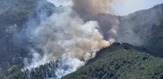 Hatay'da Orman Yangınına Havadan ve Karadan Müdahale