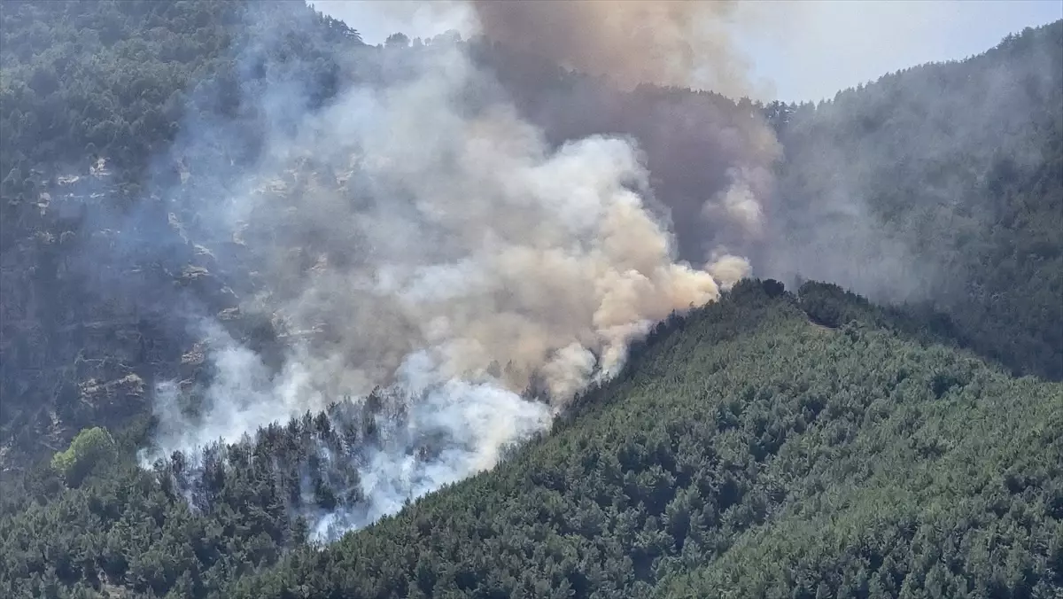 Hatay'da Orman Yangınına Havadan ve Karadan Müdahale