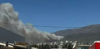 Antakya'da Orman Yangınına Havadan ve Karadan Müdahale
