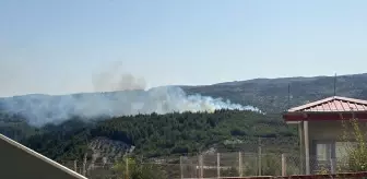 Hatay'ın Yayladağı İlçesinde Orman Yangınına Müdahale Başlatıldı