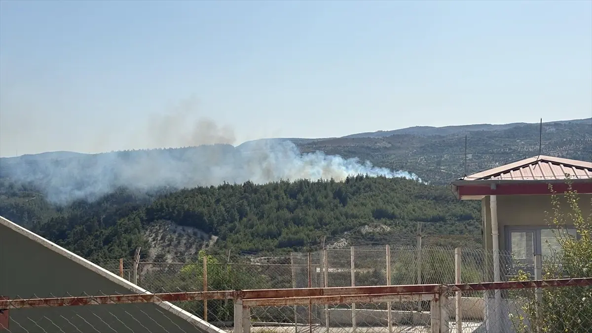Hatay'ın Yayladağı İlçesinde Orman Yangınına Müdahale Başlatıldı