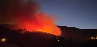 Hatay Hassa'da Orman Yangını Kontrol Altına Alınmaya Çalışıyor