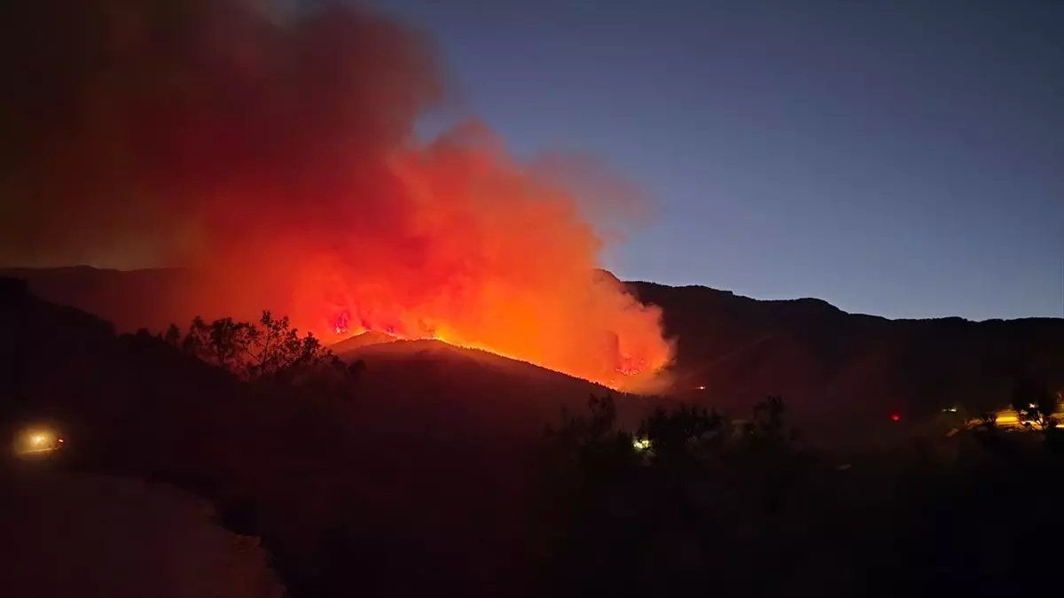 Hatay Hassa'da Orman Yangını Kontrol Altına Alınmaya Çalışıyor