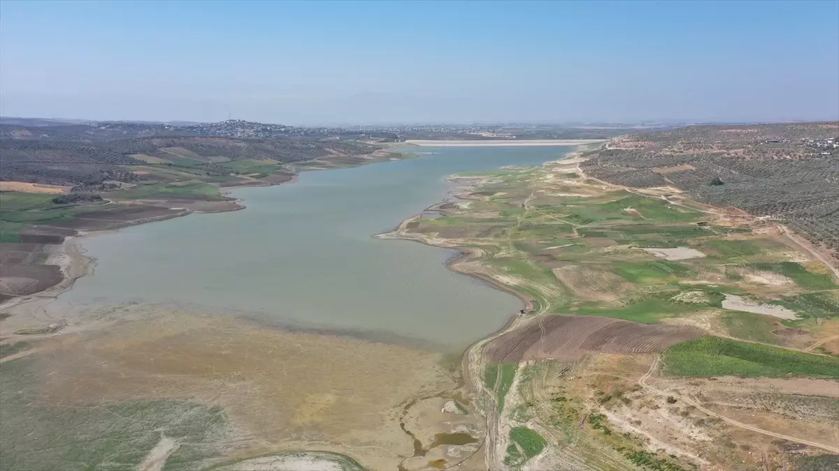 Hatay'da Kuraklık Tarım Üretimini Olumsuz Etkiliyor