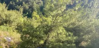 Antakya'da Uçuruma Devrilen Araçta Sürücü Hayatını Kaybetti