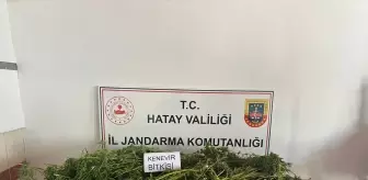 Hatay'da Uyuşturucu Operasyonu: 5 Zanlı Yakalandı
