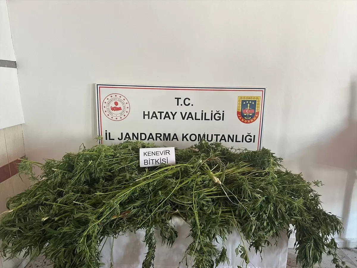 Hatay'da Uyuşturucu Operasyonu: 5 Zanlı Yakalandı