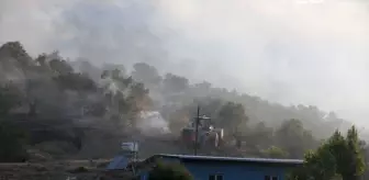 Hatay'da Zeytinlikte Yangın: 10 Bin Ağaç Zarar Gördü