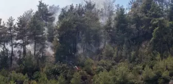 Hatay'da Orman Yangınına Hava ve Karadan Müdahale