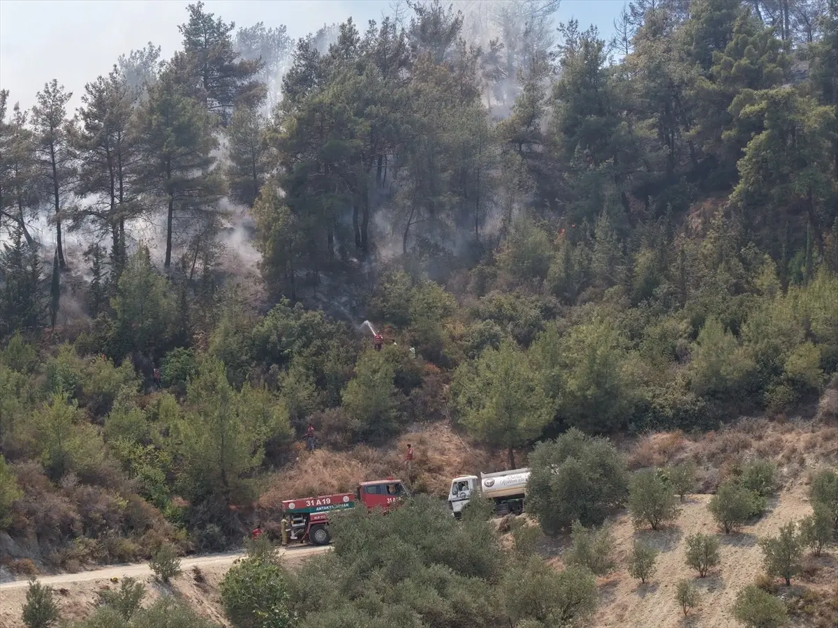 Hatay'da Orman Yangınına Hava ve Karadan Müdahale