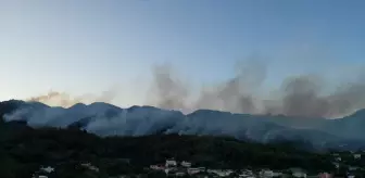Hatay'da Orman Yangınına Hızla Müdahale Ediliyor
