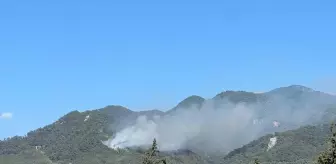 Hatay'da Orman Yangınına Müdahale Devam Ediyor