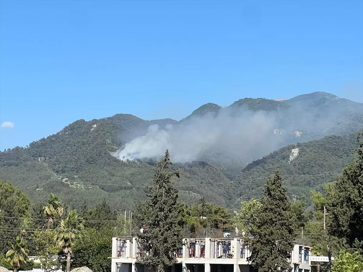 Hatay'da Orman Yangınına Müdahale Devam Ediyor