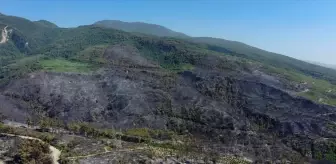 Hatay'daki Orman Yangını Kısmen Kontrol Altına Alındı