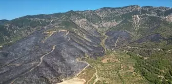 Hatay'daki Orman Yangını Kontrol Altına Alındı