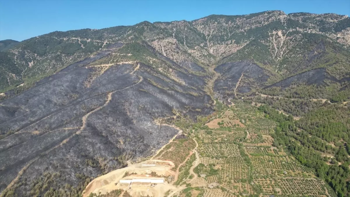 Hatay'daki Orman Yangını Kontrol Altına Alındı