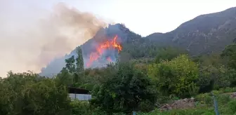 Hatay'da Orman Yangınına Hızla Müdahale Ediliyor