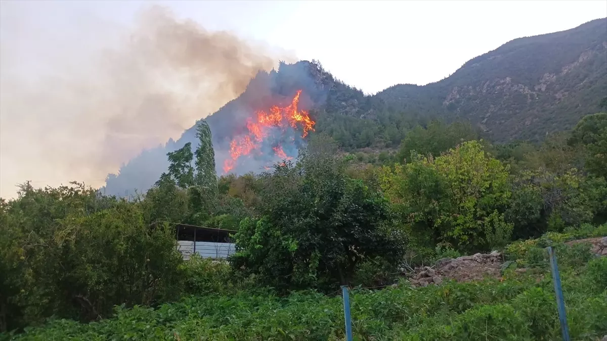 Hatay'da Orman Yangınına Hızla Müdahale Ediliyor