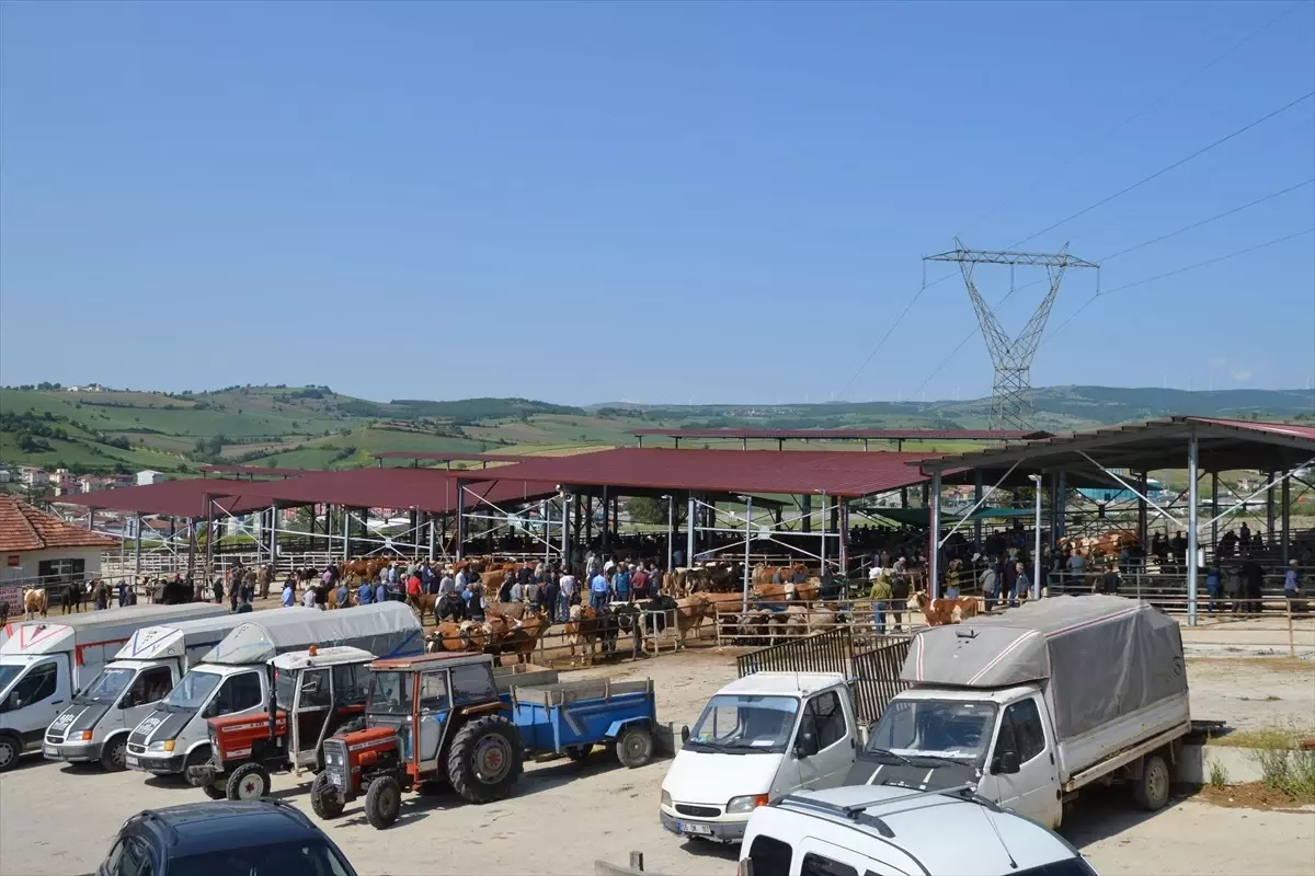 Havza Belediyesi'nden Kurban Bayramı Öncesi ve Sonrası Tedbirler