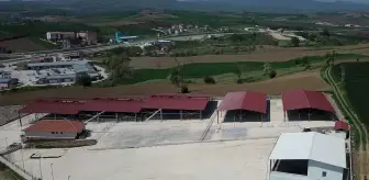 Samsun'un Havza Canlı Hayvan Pazarı Tedbiren Kapatıldı