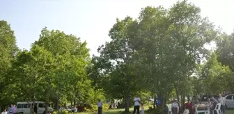 Havza'da 10. Çiğdemtepe Festivali Piknik Şenliği Düzenlendi