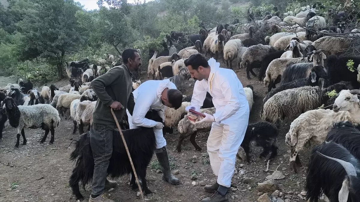 Şırnak'ta Veteriner Mobil Kontrol Noktası Kuruldu