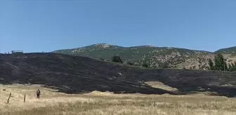 Bitlis Hizan'da Anız Yangını Kontrol Altına Alındı