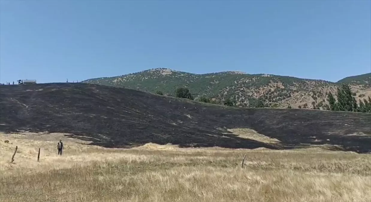 Bitlis Hizan'da Anız Yangını Kontrol Altına Alındı