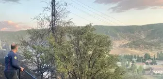 Bitlis Hizan'da Anız Yangını Söndürüldü