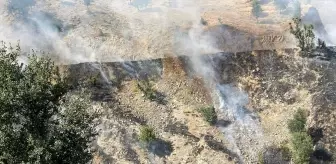 Bitlis'te Anız Yangını Söndürüldü