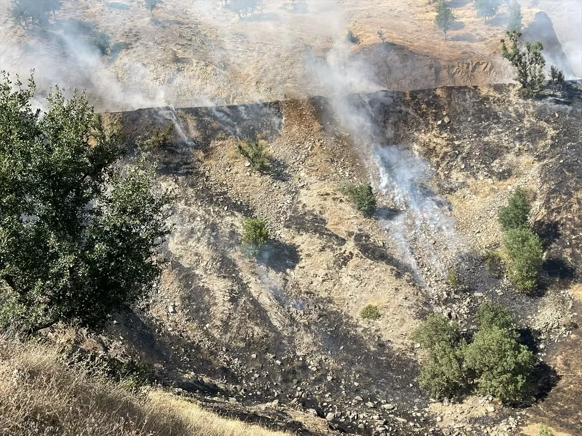 Bitlis'te Anız Yangını Söndürüldü
