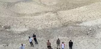 Bitlis'te Tarım Aracının Bariyere Çarpması Sonucu Sürücü Yaralandı