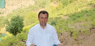Bitlis'in Hizan ilçesinde üzüm hasadı başladı