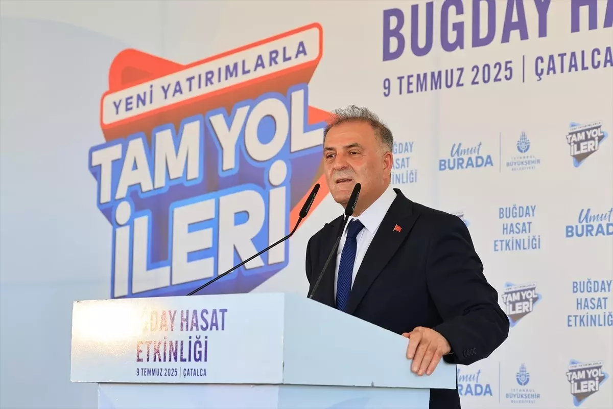 İBB'den Çatalca'da Buğday Hasat Etkinliği