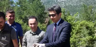 İbradı'da 800 Kınalı Keklik Doğaya Bırakıldı