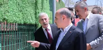 Bakan Yardımcısı Aktaş, Mardin'de Hayvan Bakımevi'ni Ziyaret Etti
