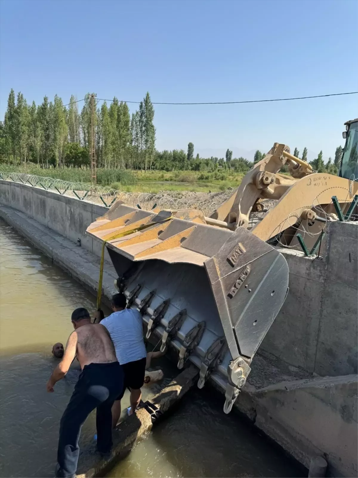 Iğdır'da Dana Sulama Kanalından Kurtarıldı