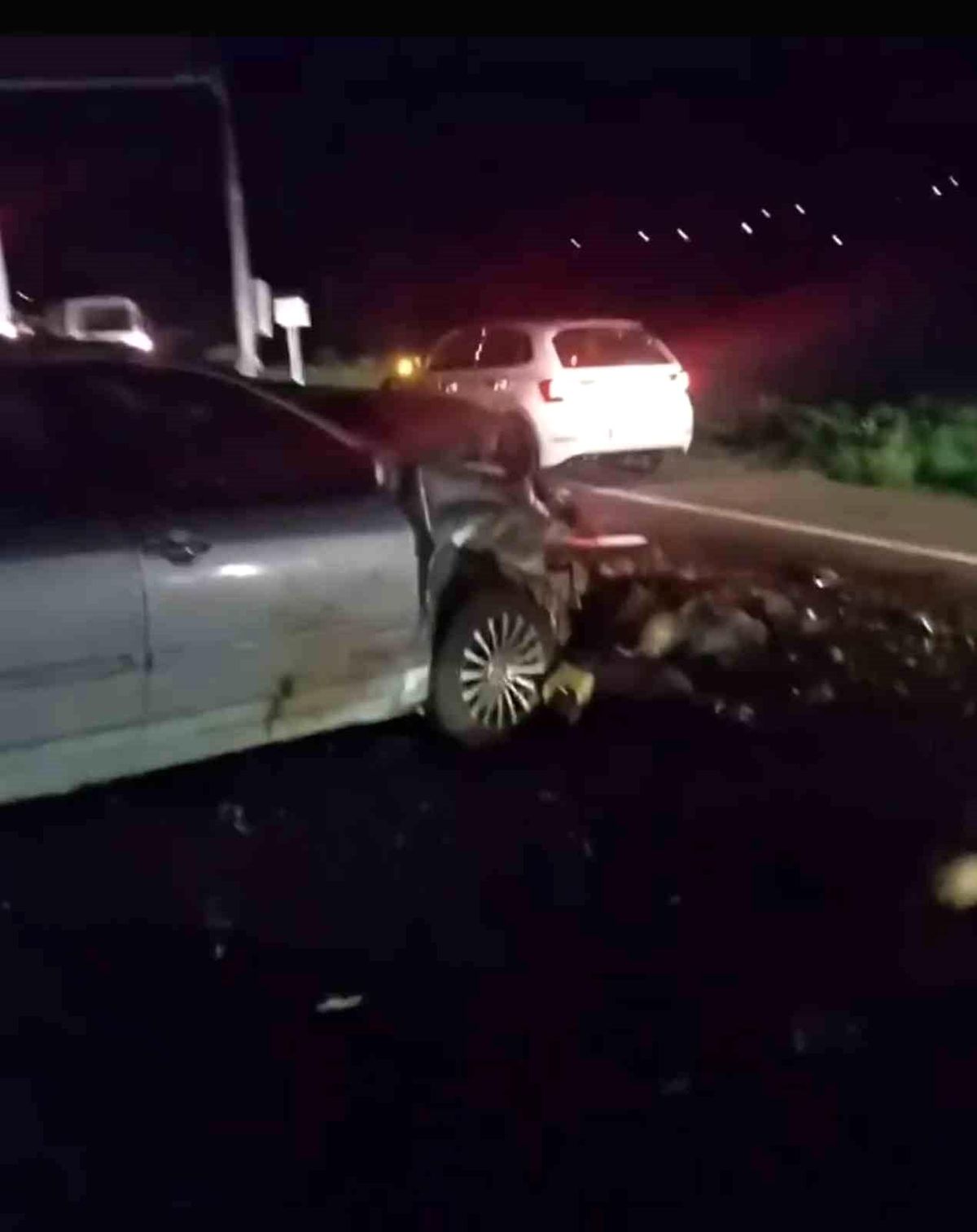 Iğdır'da Hayvan Sürüsüne Otomobil Çarptı, 25 Koyun Telef Oldu