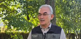 İhmal ve dikkatsizlikle çıkan orman yangınlarına karşı farkındalık bilinci önemli
